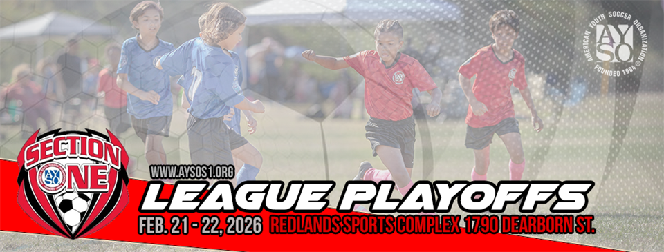 Section 1 League Playoffs